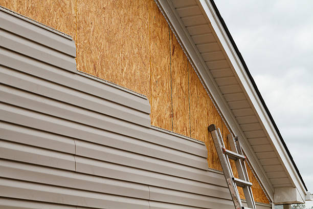 Professional Wood Siding technician working in Richwood, WV